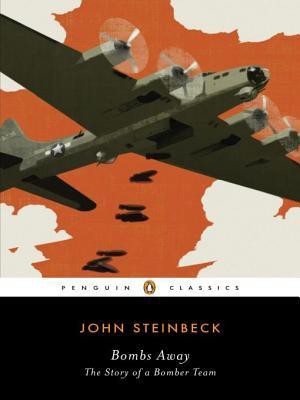 Bombs Away: The Story of a Bomber Team