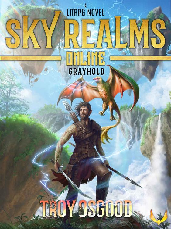 Grayhold: Sky Realms Online Book One