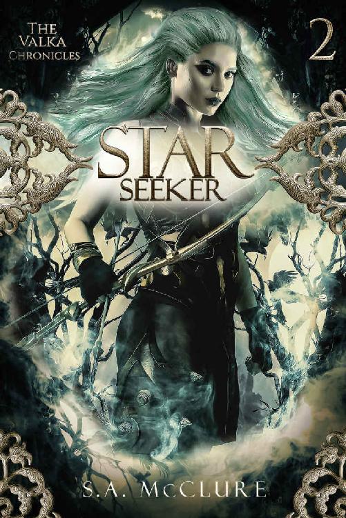 Starseeker: Valka Chronicles Book Two