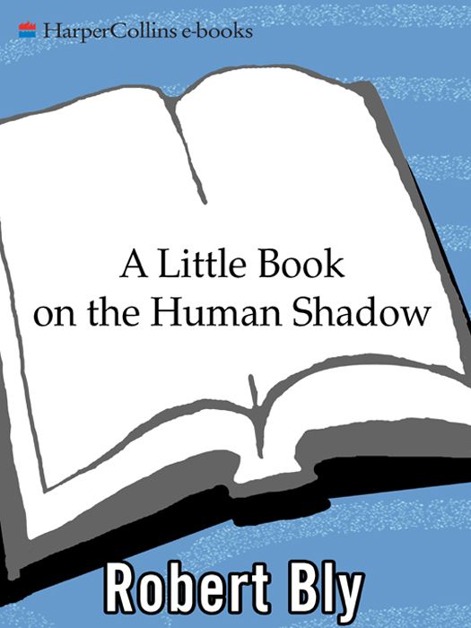 A Little Book on the Human Shadow: A Poetic Journey Into the Dark Side of the Human Personality, Shadow Work, and the Importance of Confronting Our Hidden Self