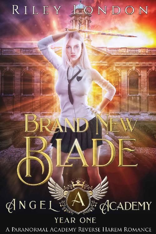 Brand New Blade