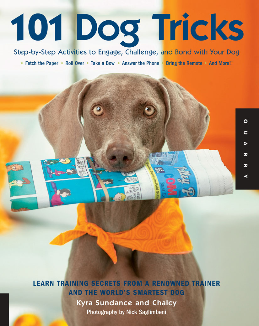 101 Dog Tricks: Step by Step Activities to Engage, Challenge, and Bond With Your Dog