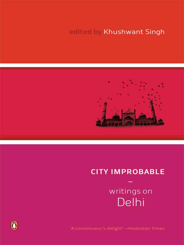 City Improbable: Writings on Delhi