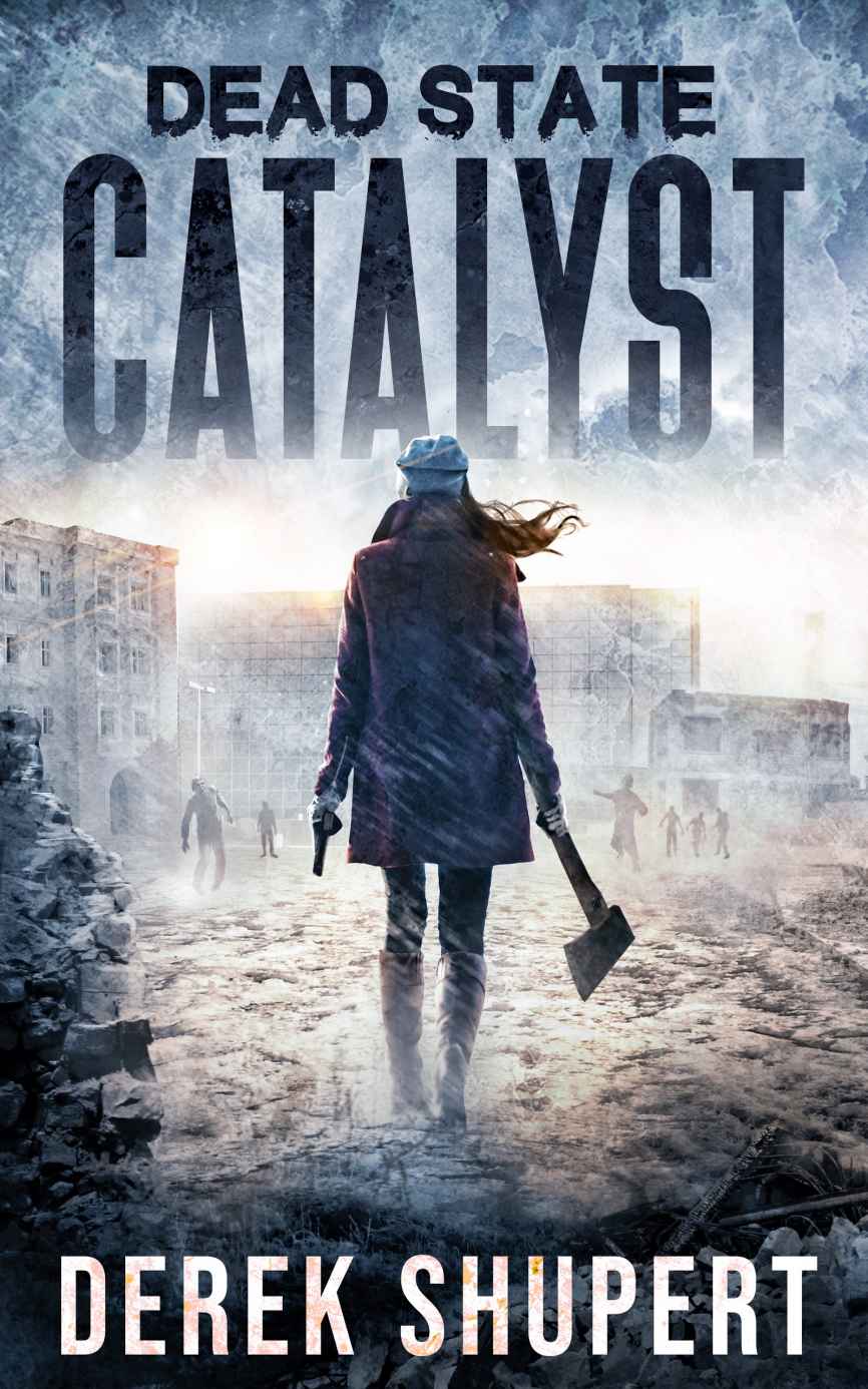 Final Light: A Post-Apocalyptic EMP/CME Survival Thriller