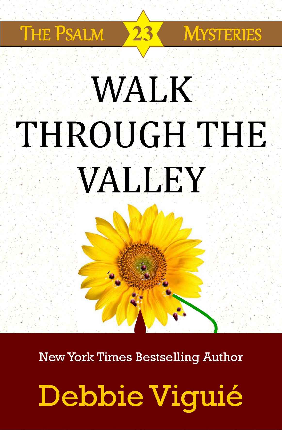 Walk Through the Valley: Large Print