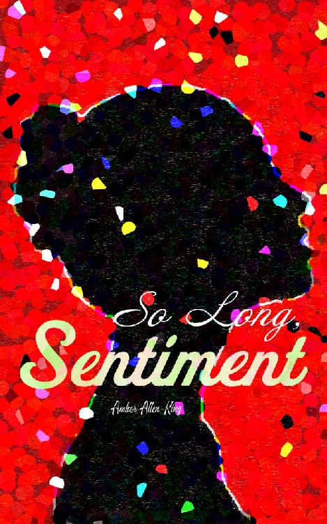 So Long, Sentiment: A Pride and Prejudice Variation