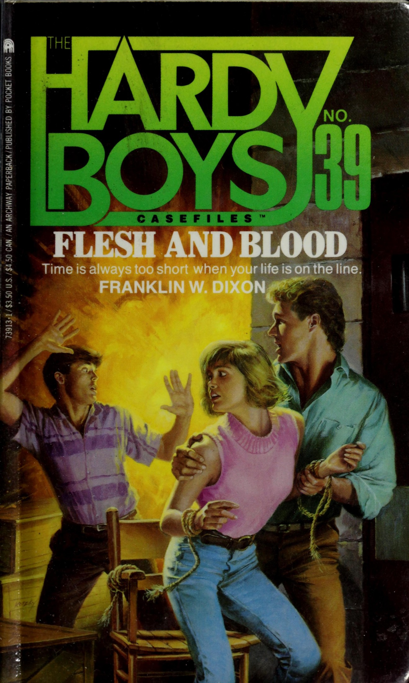The Hardy Boys Casefiles: Collector's Edition