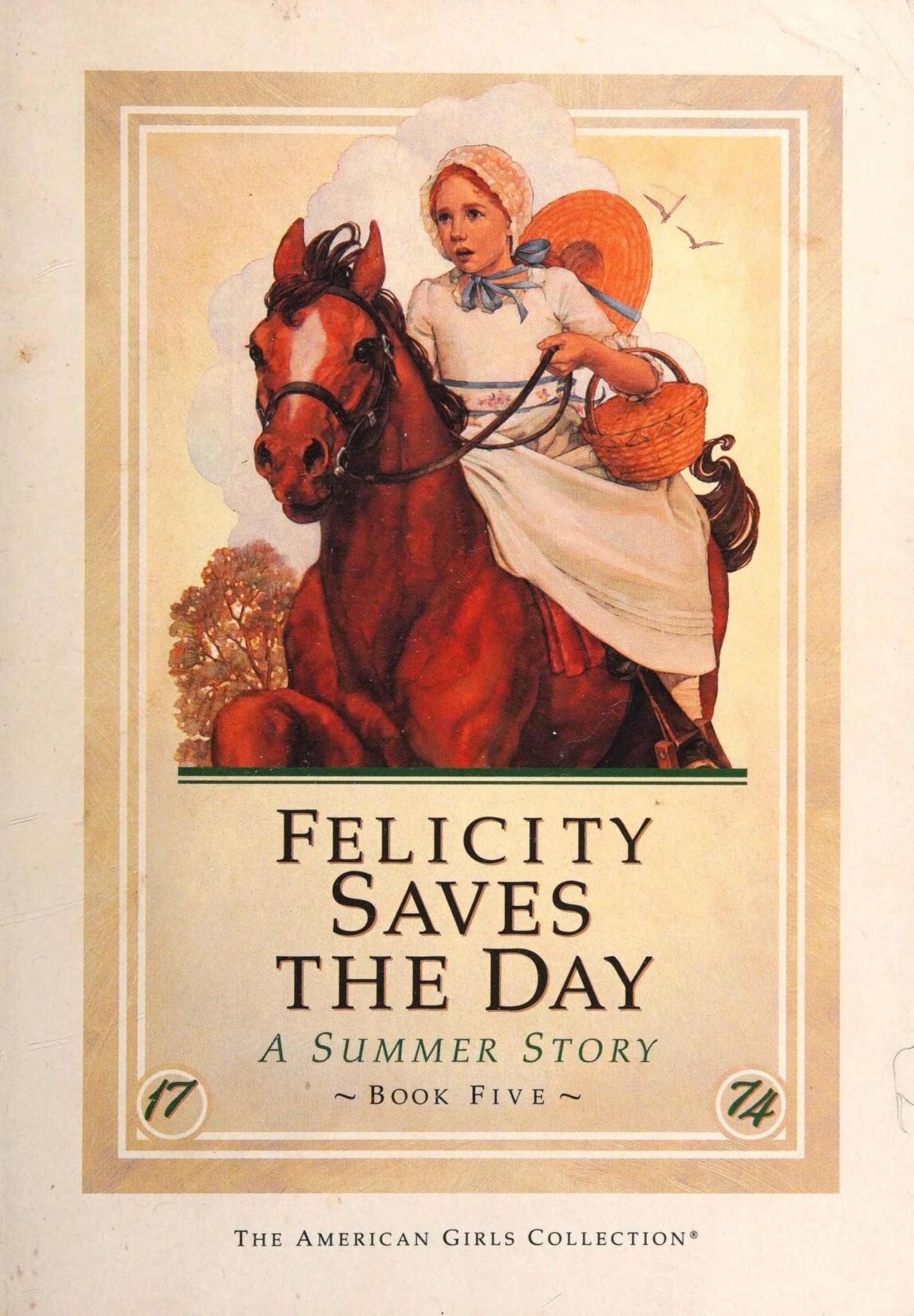 Felicity Saves the Day: A Summer Story