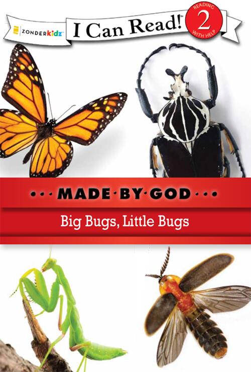 Big Bugs, Little Bugs: Level 2