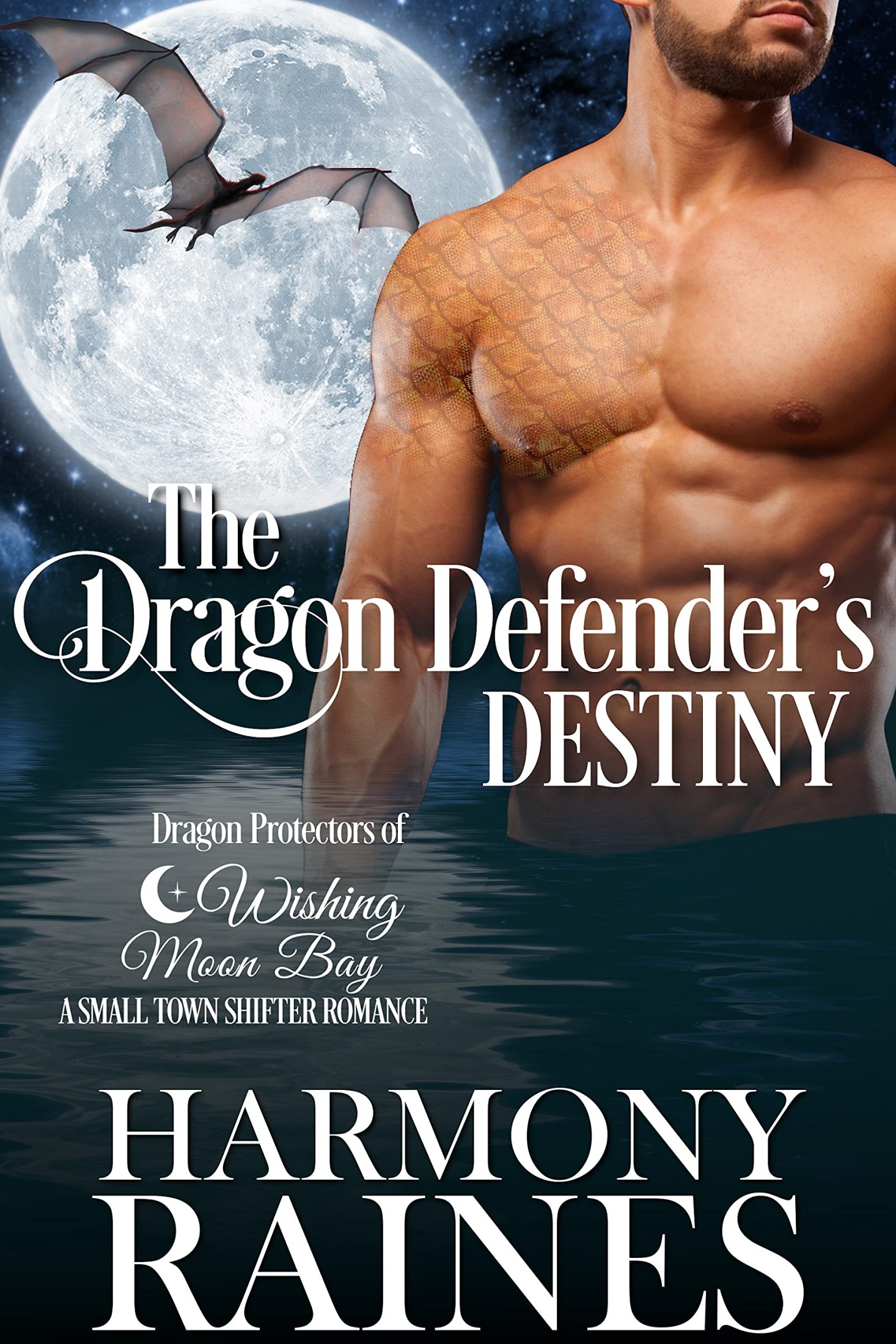 The Dragon Defender's Destiny