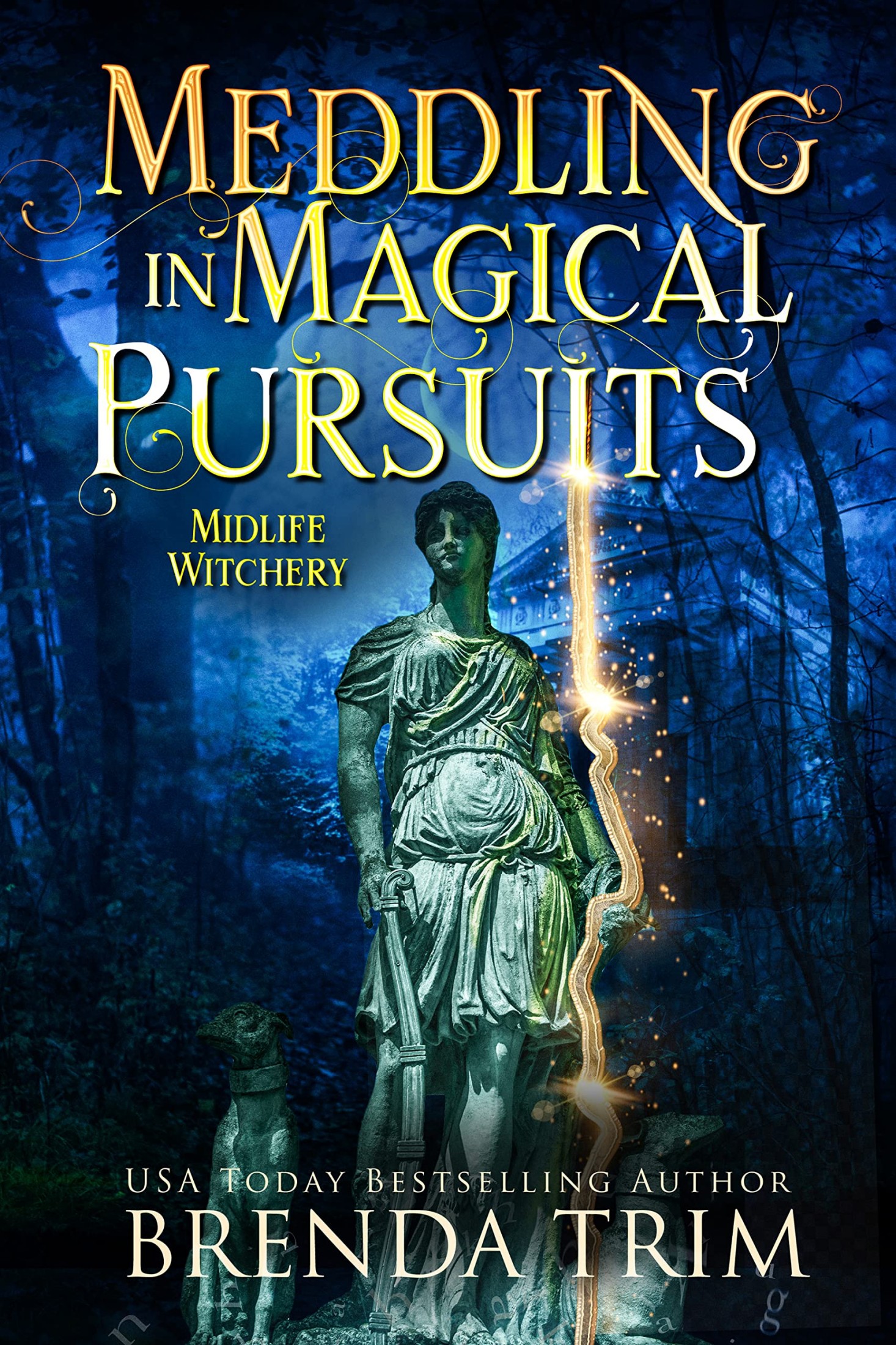 Meddling in Magical Pursuits
