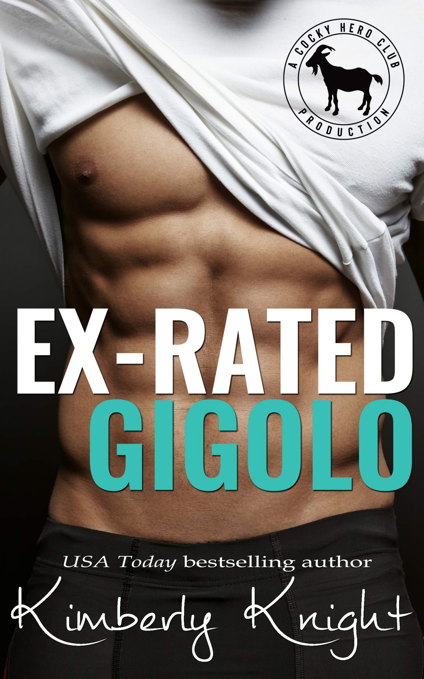 Ex-Rated Gigolo: A Second Chance New Adult Romance